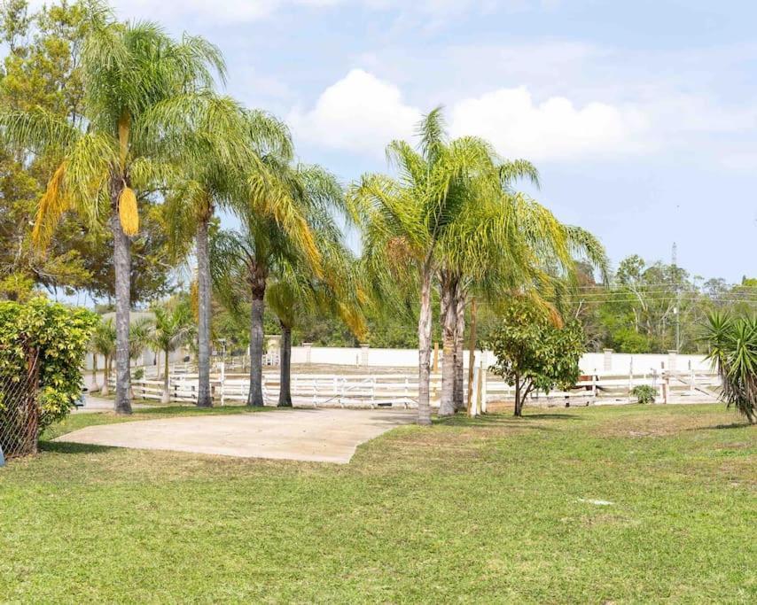 Апартаменти Tampa Bay Oasis Тарпон-Спрінгс Екстер'єр фото