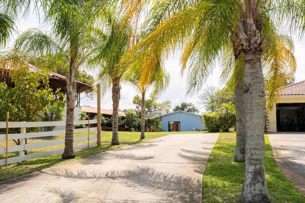 Апартаменти Tampa Bay Oasis Тарпон-Спрінгс Екстер'єр фото